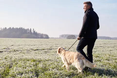 Mann geht mit einem Hund an der Leine auf einem Feld spazieren