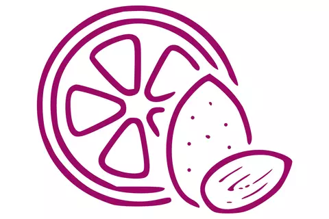 Icon: Vitamine als „Rostschutz“