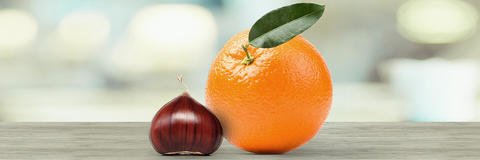 Abbildung einer kleinen Kastanie neben einer großen Orange