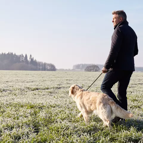 Mann geht mit einem Hund an der Leine auf einem Feld spazieren