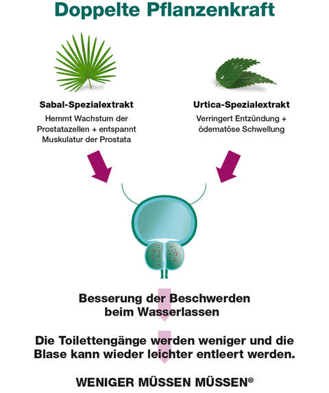 Wirkformel Prostagutt duo
