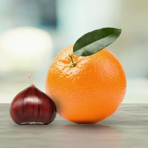 Abbildung einer kleinen Kastanie neben einer großen Orange